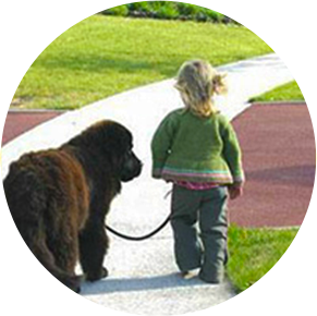 La passion est là depuis toujours