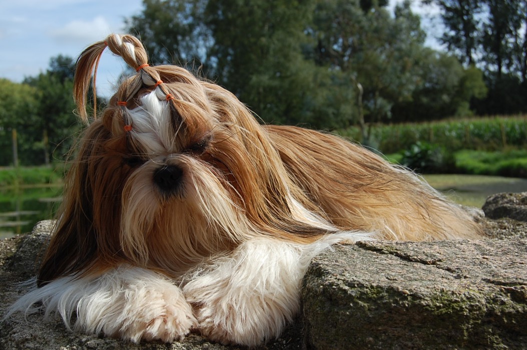 Idalgo from Audreys Paradis