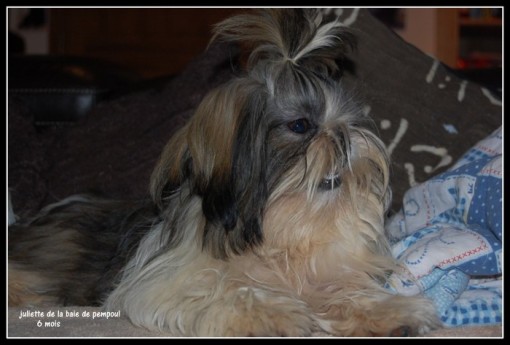 juliette6m 3.jpg