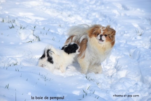 rihanna-neige 10.jpg