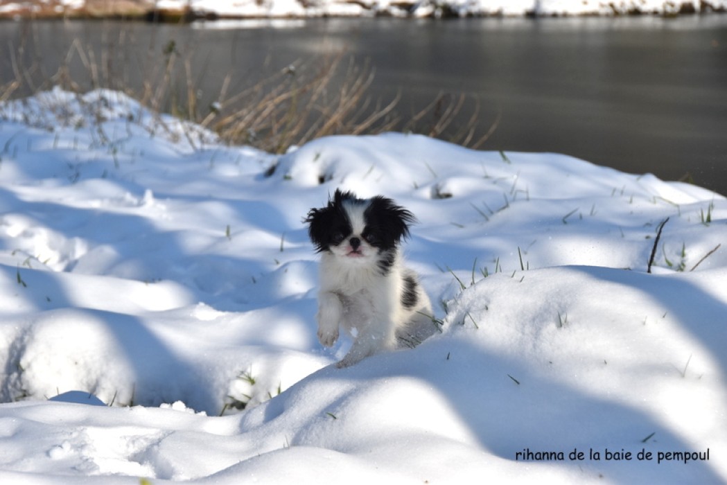 Rihanna de la Baie de Pempoul