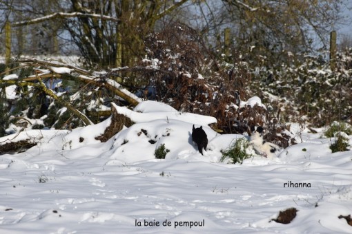 rihanna-neige 13.jpg