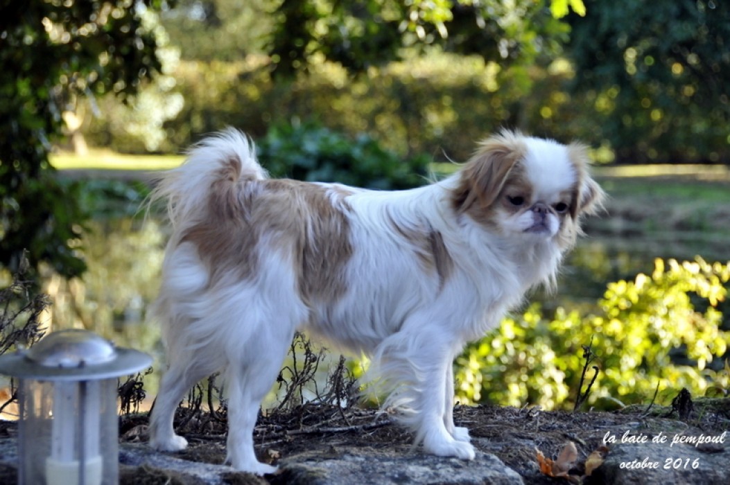 Light ning de la Baie de Pempoul