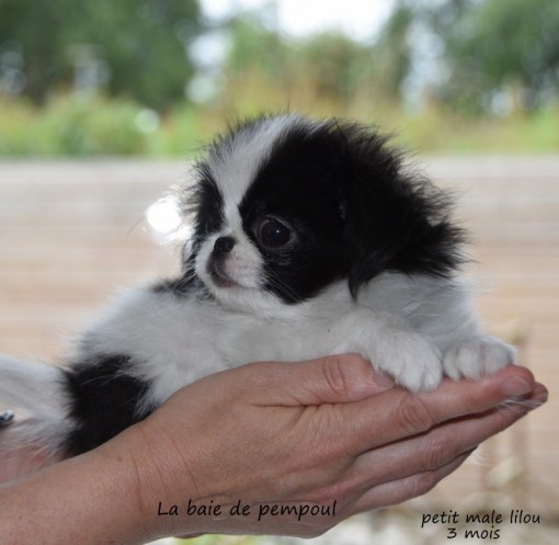 petit3m 1.jpg