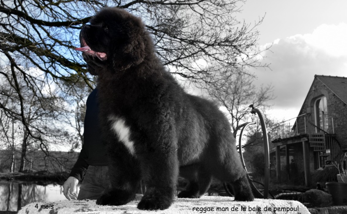 Reggae man de la Baie de Pempoul