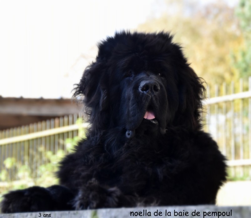 Noella de la Baie de Pempoul