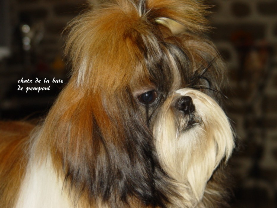 Chaz de La Baie de Pempoul